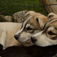 2012-09-10 11-47-02
