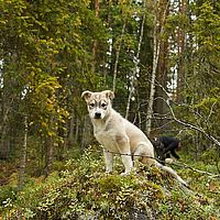 2012-09-11 13-39-08-6