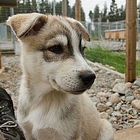 2012-09-11 15-14-56