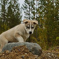 2012-09-11 15-34-19-4