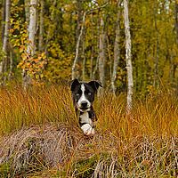 2012-09-11 16-16-47-4