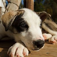 2012-09-12 11-37-05