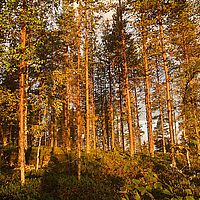 2012-09-13 06-27-24