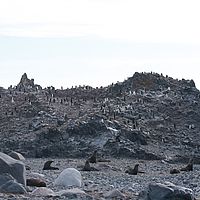 2009-02-26 10-12-01