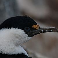 2009-03-05 09-07-56