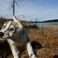 2012-09-13 11-52-03