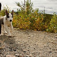 2012-09-13 12-29-24-1