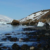 2009-03-01 16-48-46