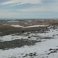 2009-03-05 11-24-17