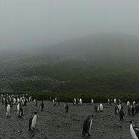 2009-03-14 11-01-41