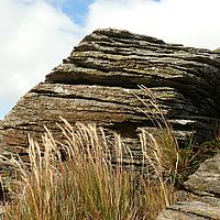 2009-03-15 10-39-10