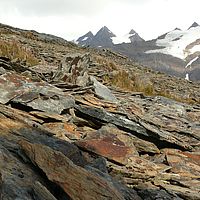 2009-03-15 10-40-34