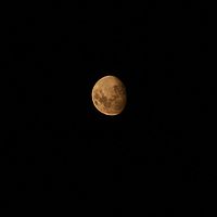 2009-03-07 20-50-37