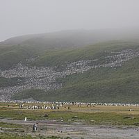 2009-03-14 10-26-36