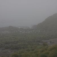 2009-03-14 16-51-19