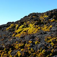 2009-03-30 14-08-22