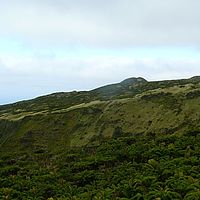 2009-03-30 16-17-09