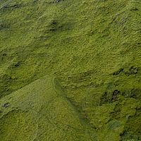 2009-03-30 16-42-40