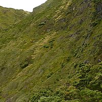 2009-03-30 17-05-36