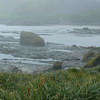 2009-03-18 16-42-55