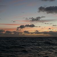 2009-03-26 06-06-49