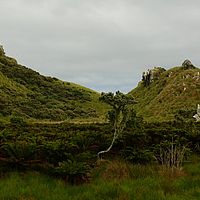 2009-03-31 11-30-00