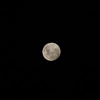 2009-04-08 18-52-59