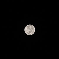 2009-04-10 03-50-28