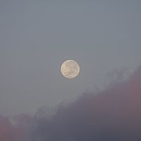 2009-04-10 07-21-17