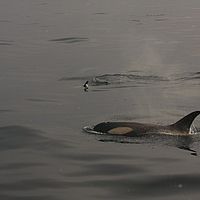 2009-02-27 08-08-06