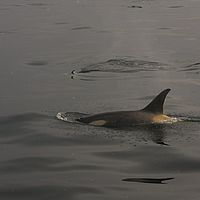 2009-02-27 08-08-07-1