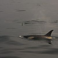 2009-02-27 08-08-07