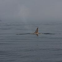 2009-02-27 08-08-36