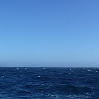 2009-03-22 13-28-08