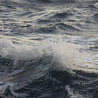2009-03-22 17-51-50