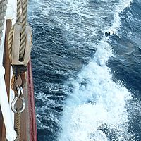 2009-03-26 08-37-43