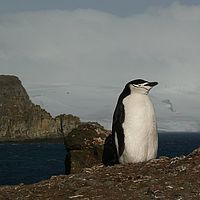 2009-02-25 15-16-43