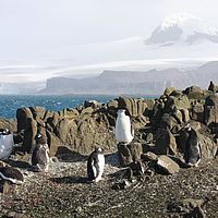 2009-02-25 15-30-43