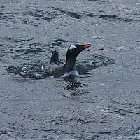 2009-02-26 15-58-56