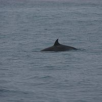 2009-03-07 14-14-50-2
