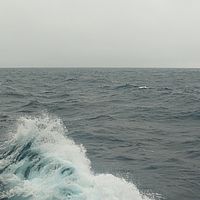 2009-04-02 14-05-59