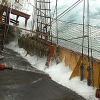 2009-04-03 09-56-50