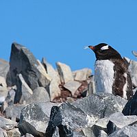 2009-03-01 11-21-16