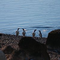 2009-03-01 17-16-58