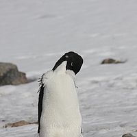 2009-03-05 09-24-49