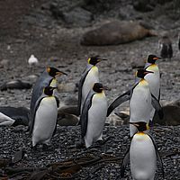 2009-03-13 09-21-34