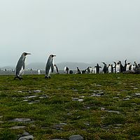 2009-03-14 10-14-49