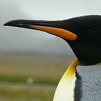 2009-03-14 10-16-10