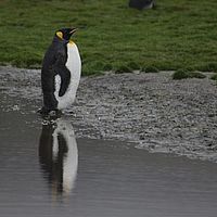 2009-03-14 10-25-33