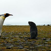 2009-03-14 10-35-21